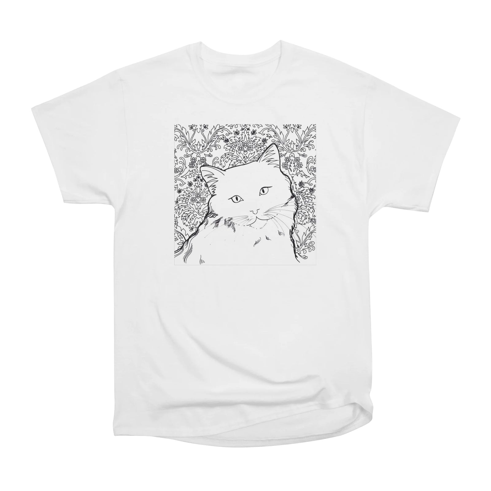 Ragdoll Cat
