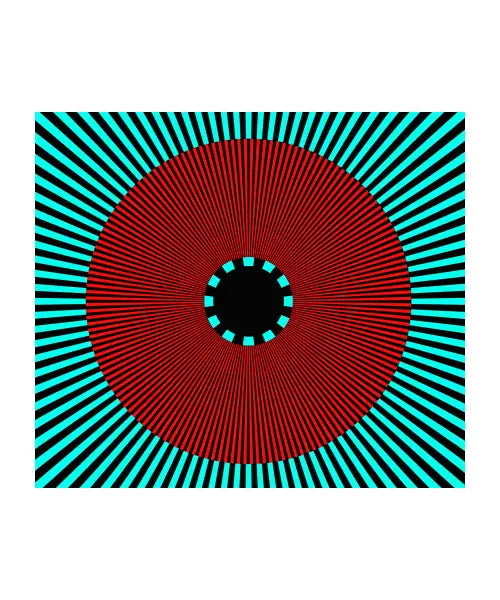 Chameleon Eye