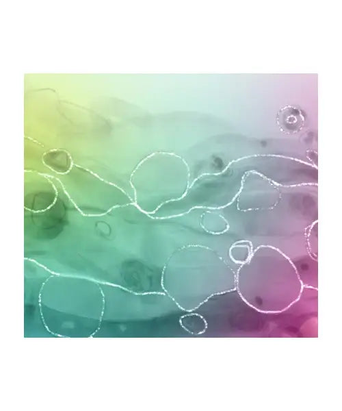 Abstract #1