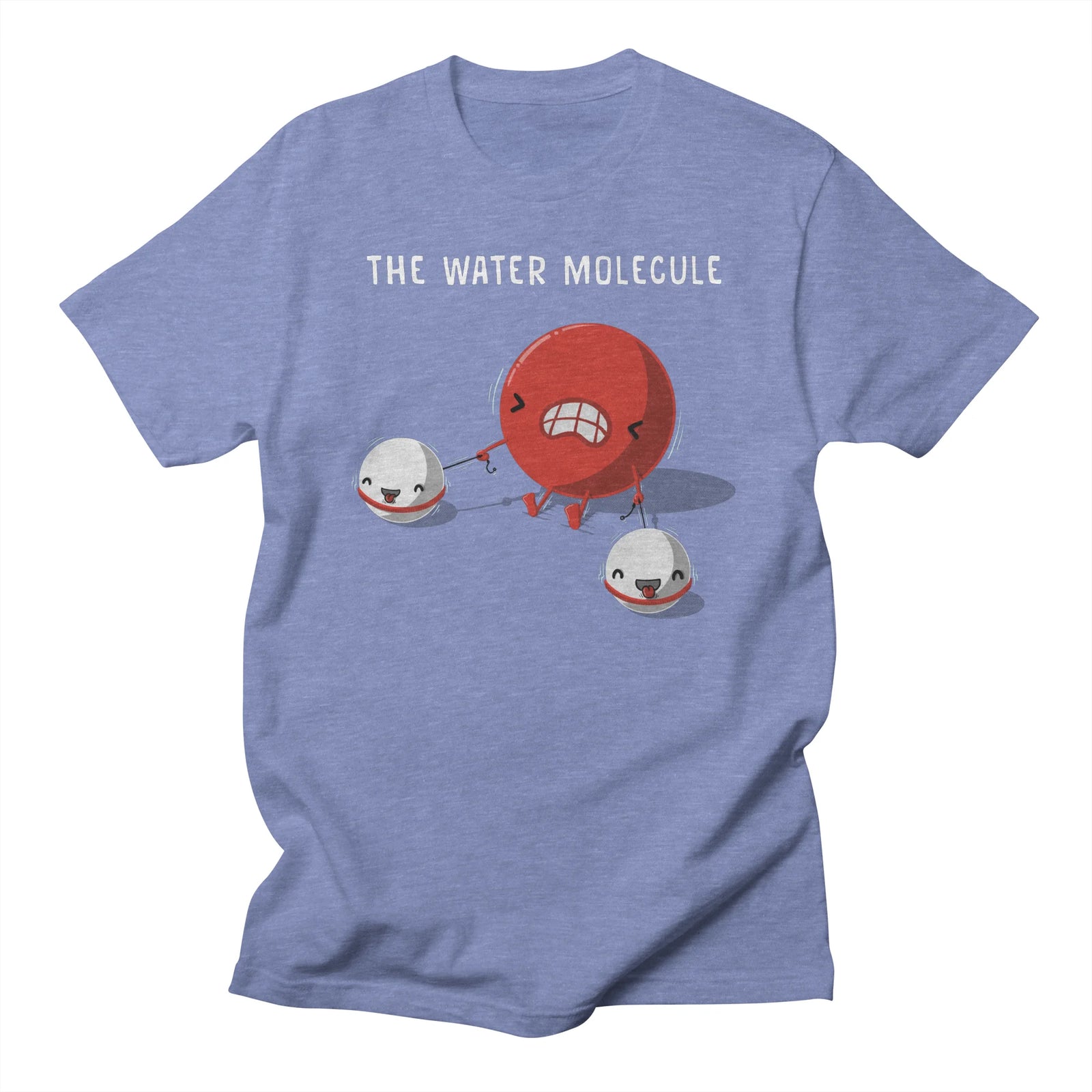 The water molecule